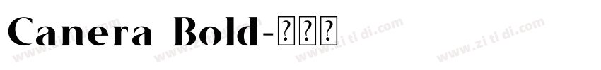 Canera Bold字体转换